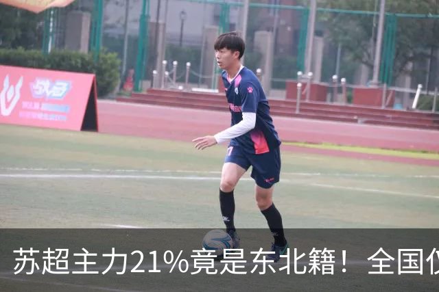 苏超主力21%竟是东北籍！全国仅11.6%，这局到底是谁选了谁？