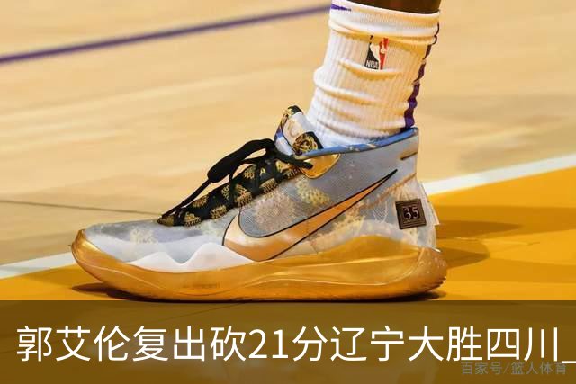 郭艾伦复出砍21分辽宁大胜四川 张镇麟24+11+8