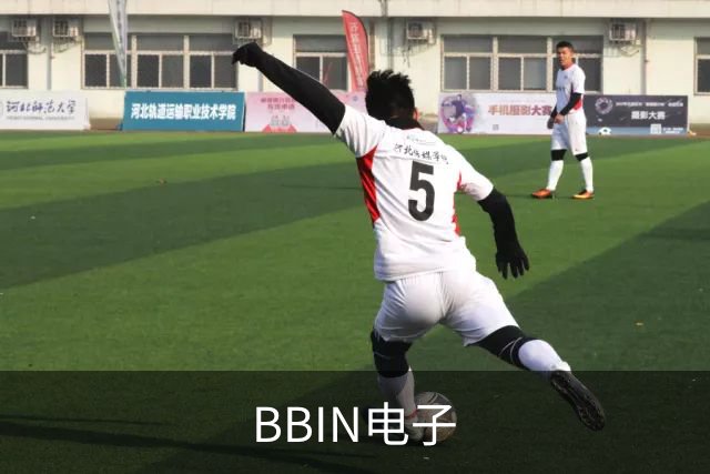 BBIN电子公司介绍